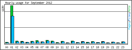 Hourly usage