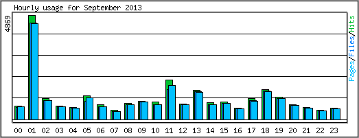 Hourly usage