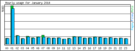 Hourly usage