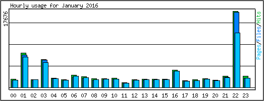 Hourly usage