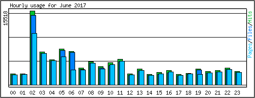 Hourly usage