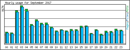 Hourly usage