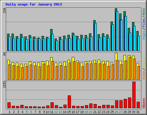Daily usage for January 2013