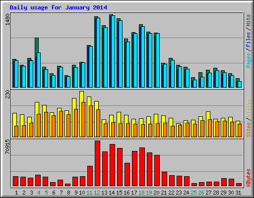 Daily usage for January 2014