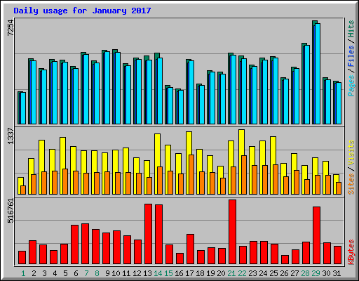 Daily usage for January 2017