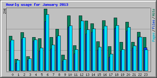 Hourly usage for January 2013