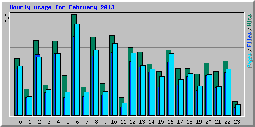 Hourly usage for February 2013