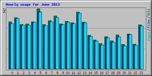 Hourly usage for June 2013