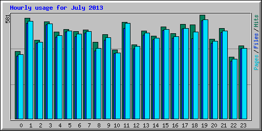 Hourly usage for July 2013