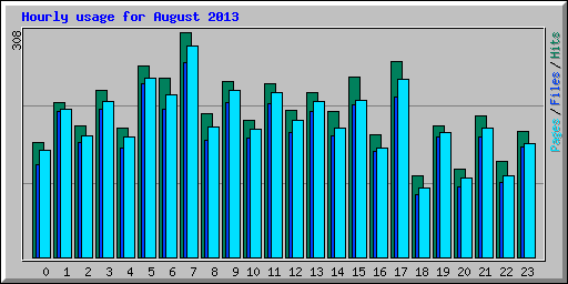Hourly usage for August 2013