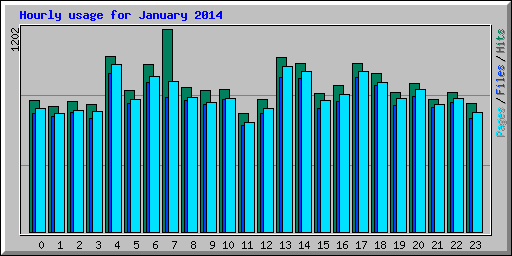 Hourly usage for January 2014