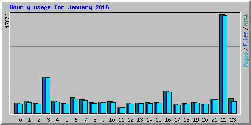 Hourly usage for January 2016