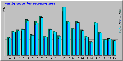 Hourly usage for February 2016