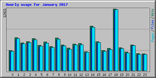 Hourly usage for January 2017