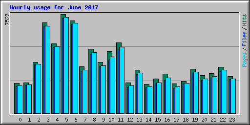 Hourly usage for June 2017